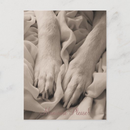 Maniküre Bitte ~ Postkarte (Vorderseite)