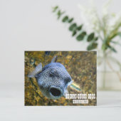 Manila Ocean Park auf den Philippinen Postkarte (Stehend Vorderseite)