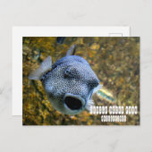 Manila Ocean Park auf den Philippinen Postkarte (Vorne/Hinten)