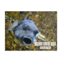 Manila Ocean Park auf den Philippinen