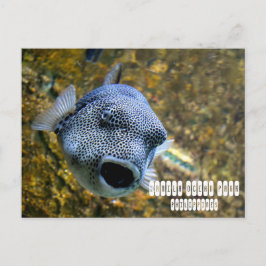 Manila Ocean Park auf den Philippinen Postkarte