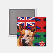 Manitoba Australischer Rinderhund Magnet (Vorderseite/Rückseite)