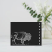 Manitoba Bison Postkarte (Stehend Vorderseite)