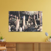 Manitou Springs, Colorado Leinwanddruck (Insitu (Wohnzimmer))