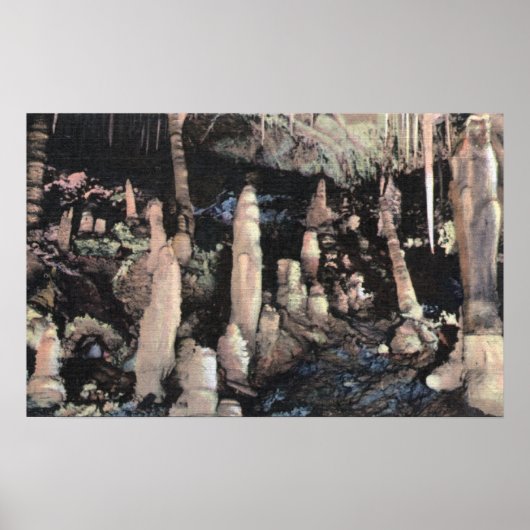 Manitou Springs, Colorado Poster (Vorne)