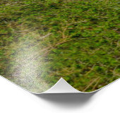 Manitou Springs Sign Framing Pikes Peak, Colorado Fotodruck (Ecke)