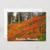 Mankato, Minnesota Postkarte (Vorne/Hinten)