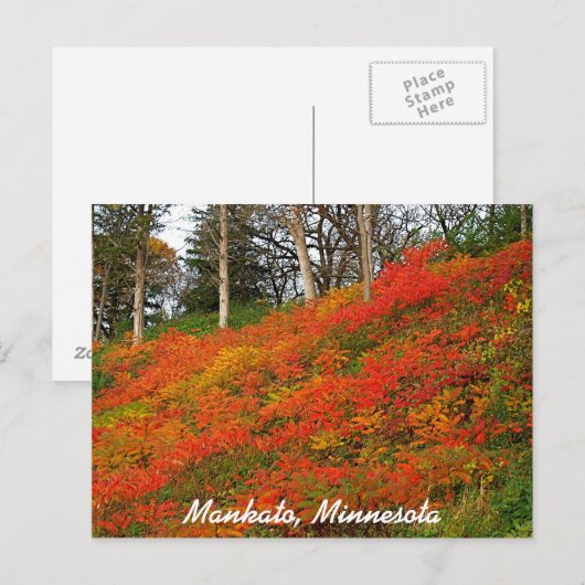 Mankato, Minnesota Postkarte (Vorne/Hinten)