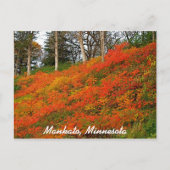 Mankato, Minnesota Postkarte (Vorderseite)