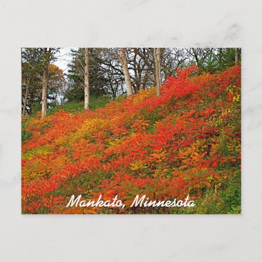Mankato, Minnesota Postkarte (Vorderseite)