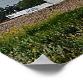 Mankota Grain Elevator Poster (Ecke)