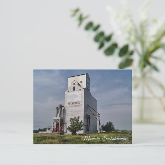 Mankota Grain Elevator Postkarte (Stehend Vorderseite)