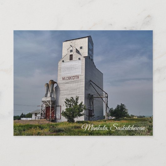 Mankota Grain Elevator Postkarte (Vorderseite)