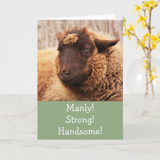 Manly Sheep Birthday Card Karte (Gelbe Blume)