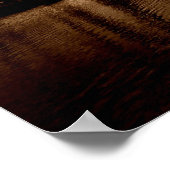 Manly Yacht Club Poster (Ecke)