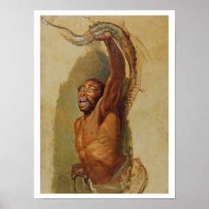 Mann, der mit einem Boa Constrictor kämpft, Studie Poster