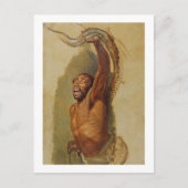 Mann, der mit einem Boa Constrictor kämpft, Studie Postkarte (Vorderseite)