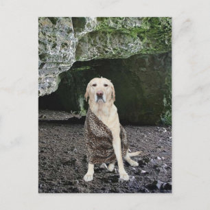 Mann-Höhlen-Einladung Einladungspostkarte