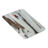 Mann klettert Eis, Colorado Magnet (Rechte Seite)