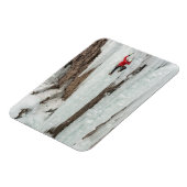 Mann klettert Eis, Colorado Magnet (Linke Seite)