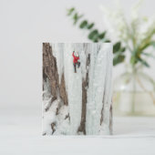 Mann klettert Eis, Colorado Postkarte (Stehend Vorderseite)