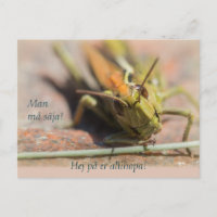 Mann må säja! Gräshoppa med personlighet CC0775