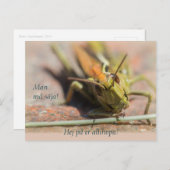 Mann må säja! Gräshoppa med personlighet CC0775 Postkarte (Vorne/Hinten)