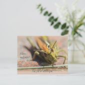 Mann må säja! Gräshoppa med personlighet CC0775 Postkarte (Stehend Vorderseite)
