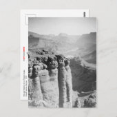 Mann und Donkey bei Grand Canyon Postcard Postkarte (Vorne/Hinten)