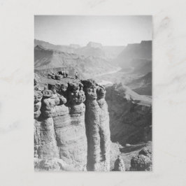 Mann und Donkey bei Grand Canyon Postcard Postkarte