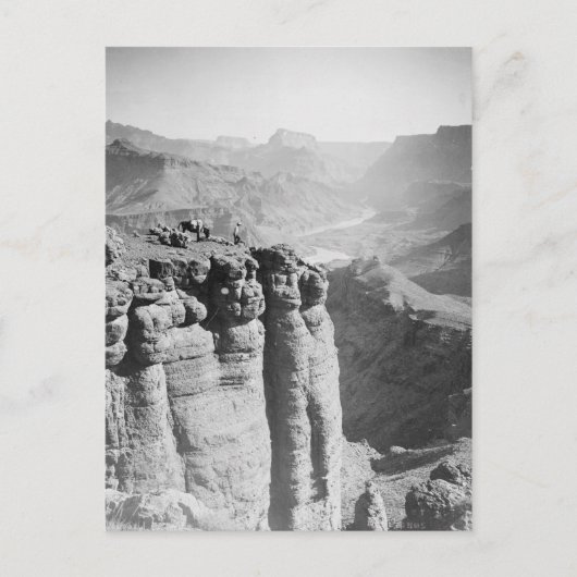 Mann und Donkey bei Grand Canyon Postcard Postkarte (Vorderseite)