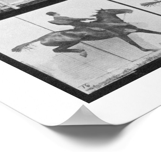 Mann und Pferd springen einen Zaun, Platte 640 von Poster (Ecke)