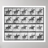 Mann und Pferd springen einen Zaun, Platte 640 von Poster (Vorne)