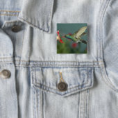 Männchen beim Fressen an Petunia, Madera Canyon, A Button (Beispiel)