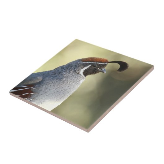 Männchen Fliese (Seite)