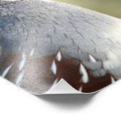 Männchen Quail Fotodruck (Ecke)