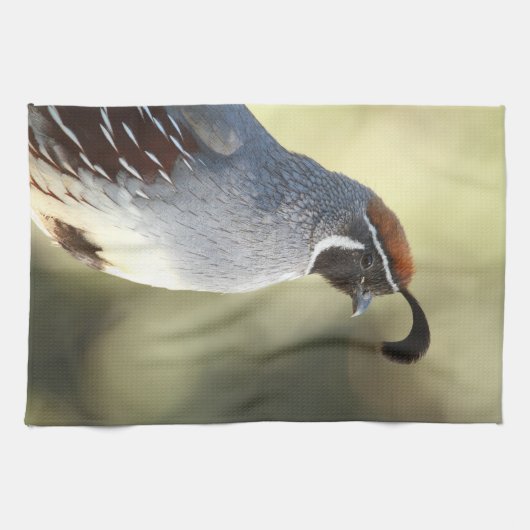 Männchen Quail Geschirrtuch (Horizontal)