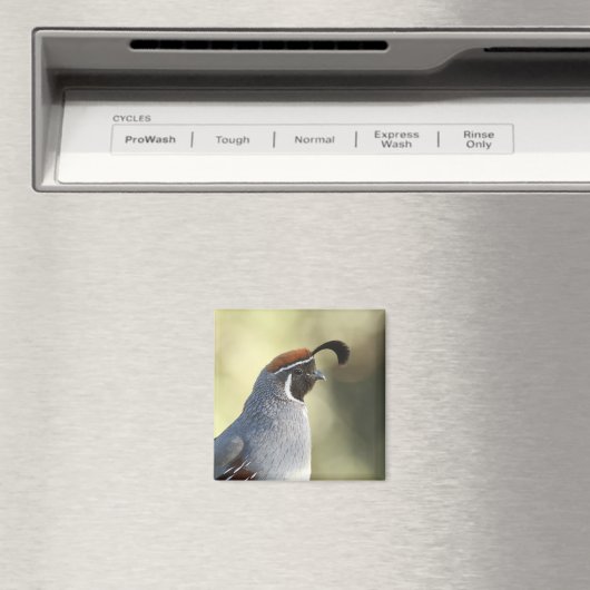 Männchen Quail Magnet (In Situ (Geschirrspüler))