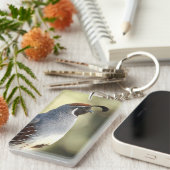 Männchen Quail Schlüsselanhänger (Vorderseite rechts)