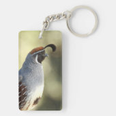 Männchen Quail Schlüsselanhänger (Rückseite)