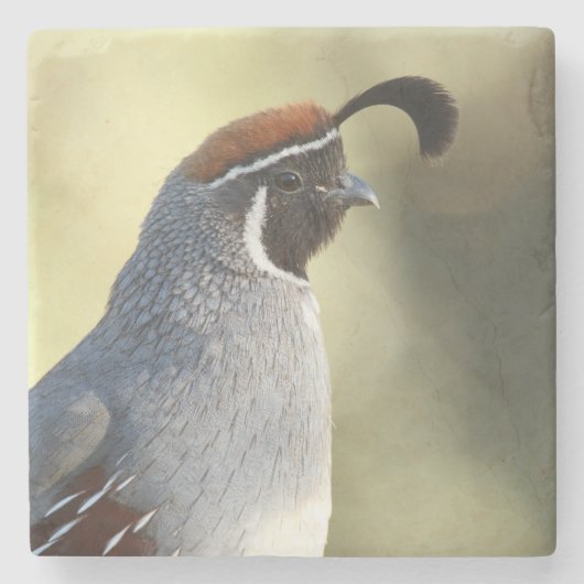 Männchen Steinuntersetzer (Vorderseite)