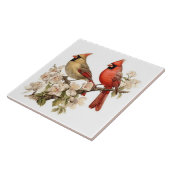 Männchen und Weibchen von Kardinalen sitzen Fliese (Seite)