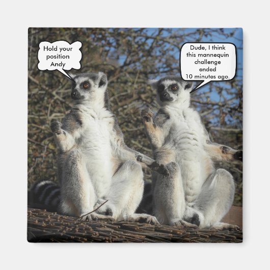Mannequin Challenged Lemurs Magnet (Vorne)