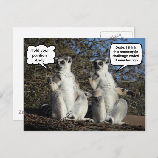 Mannequin Challenged Lemurs Postkarte (Vorne/Hinten)
