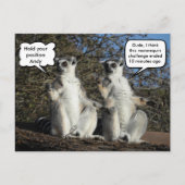 Mannequin Challenged Lemurs Postkarte (Vorderseite)