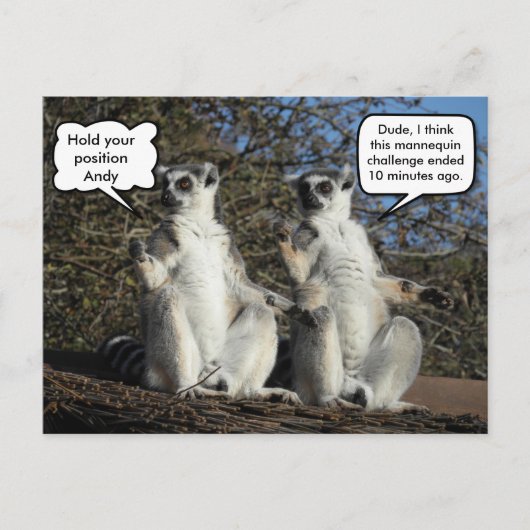 Mannequin Challenged Lemurs Postkarte (Vorderseite)