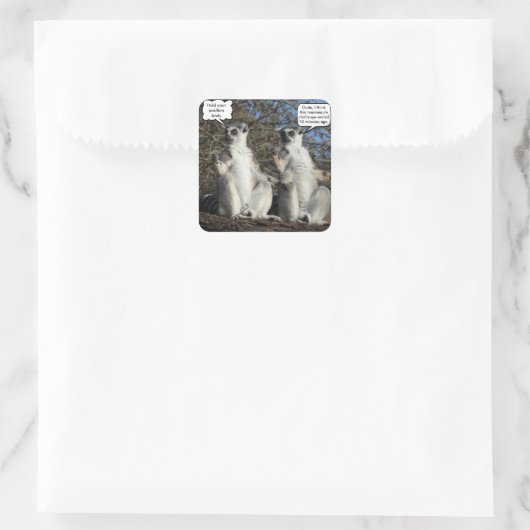 Mannequin Challenged Lemurs Quadratischer Aufkleber (Tasche)