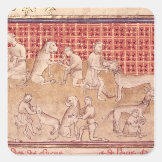 Männer, die Jagdhunde gekümmert haben Quadratischer Aufkleber (Vorderseite)