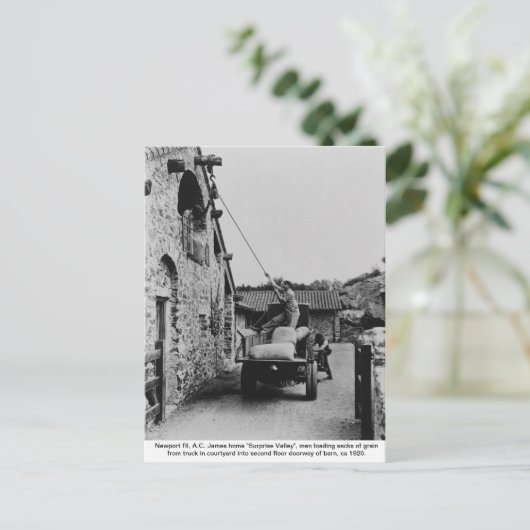 Männer, die LKW-Getreide verladen, Insel Newport R Postkarte (Stehend Vorderseite)