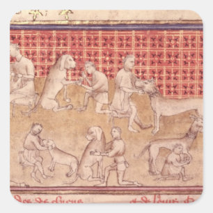 Männer kümmerten sich für Jagdhunde Quadratischer Aufkleber